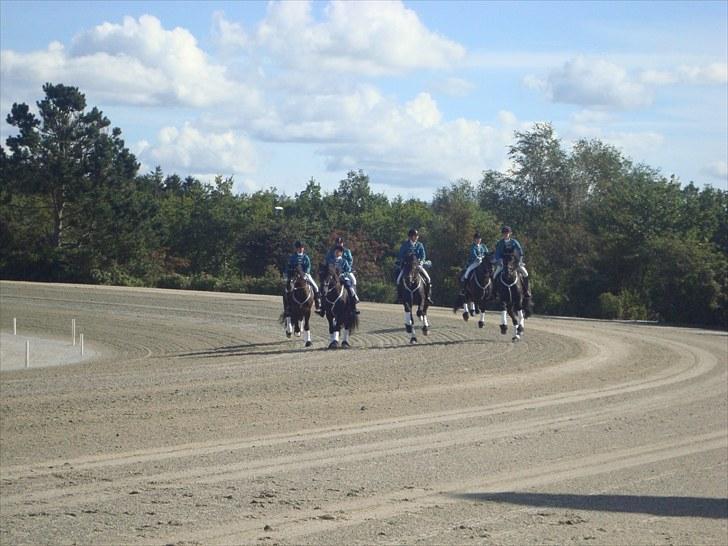 Skive travbane billede 59