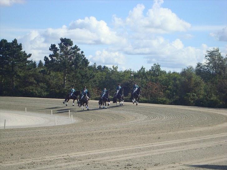 Skive travbane billede 60