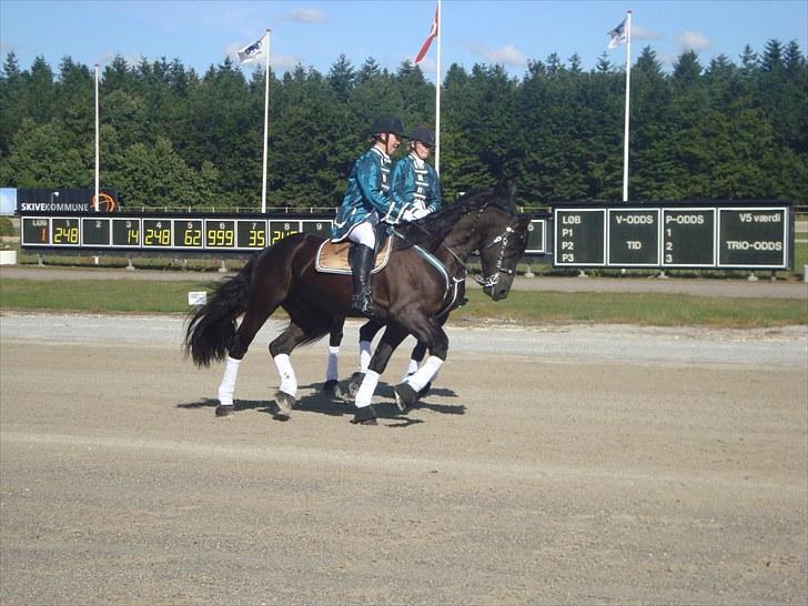 Skive travbane billede 61