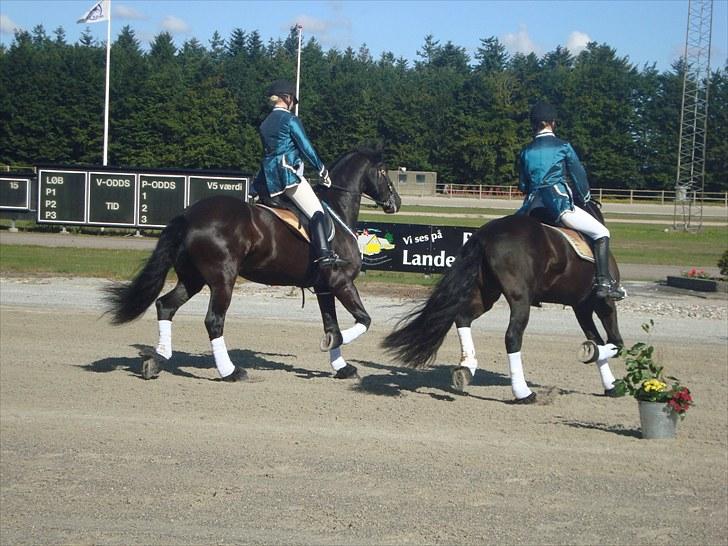 Skive travbane billede 62