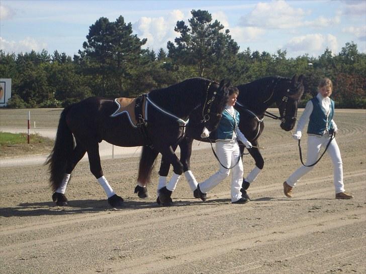 Skive travbane billede 63