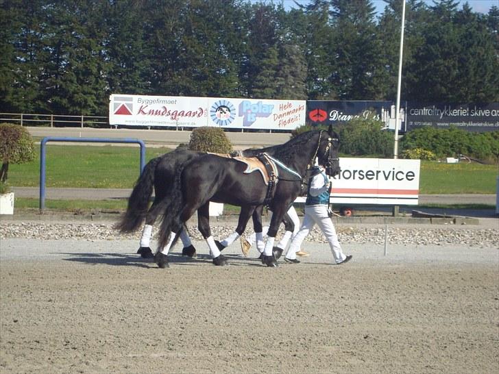 Skive travbane billede 65