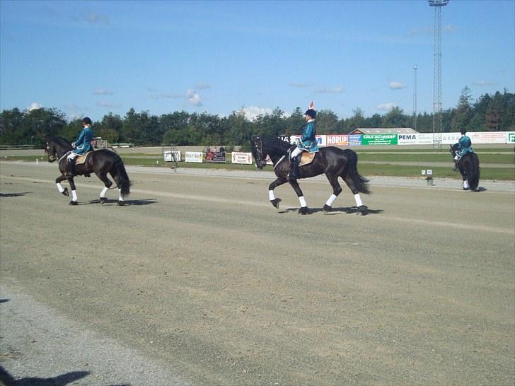 Skive travbane billede 66