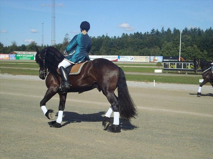 Skive travbane billede 67