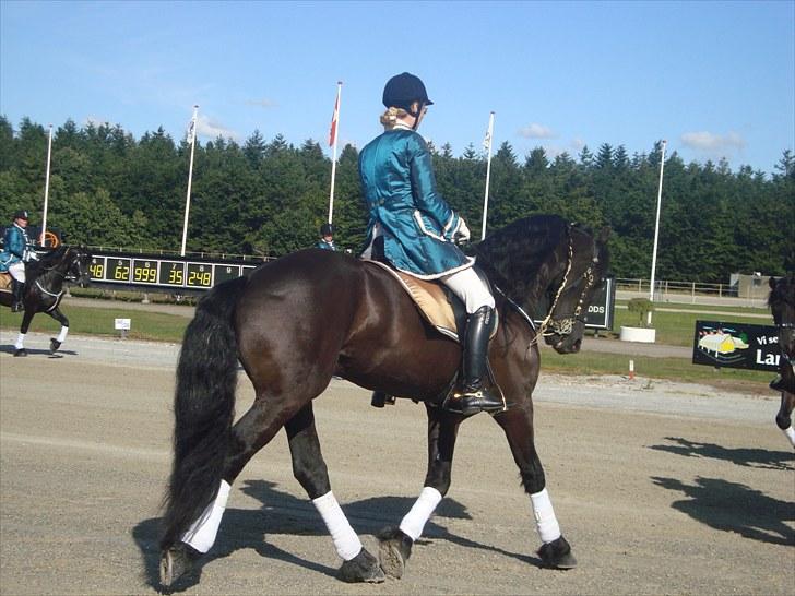 Skive travbane billede 68