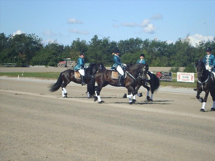 Skive travbane billede 69