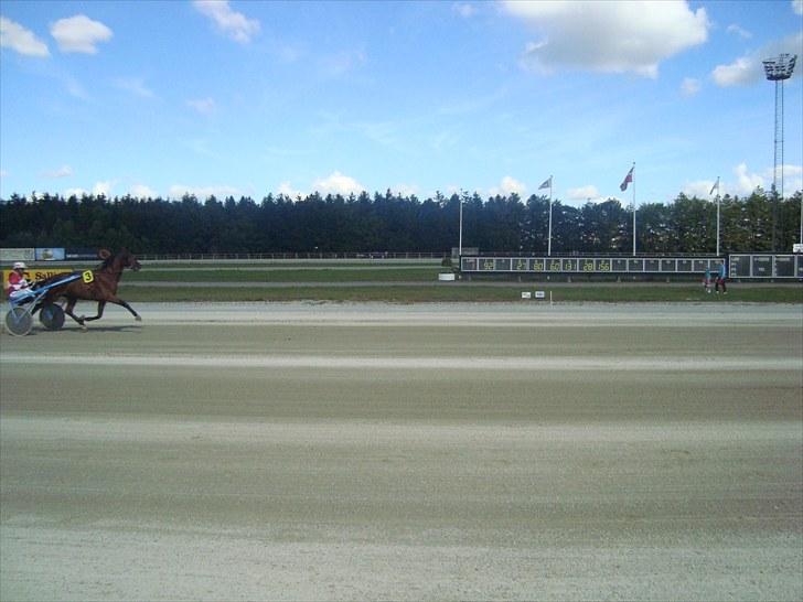 Skive travbane billede 71