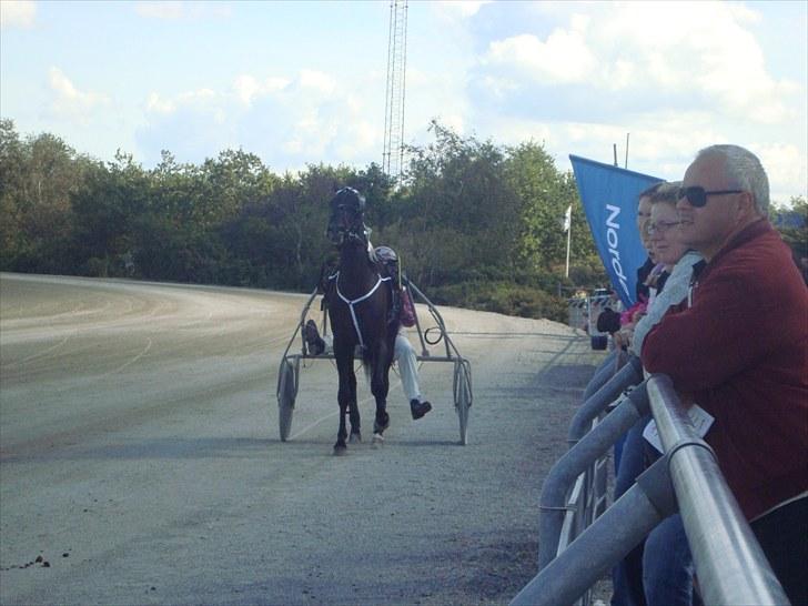 Skive travbane billede 72