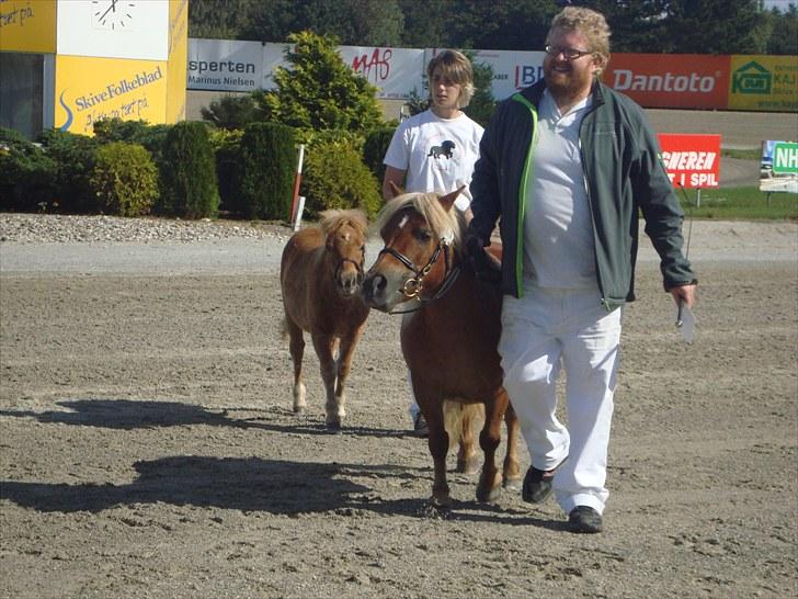 Skive travbane billede 81