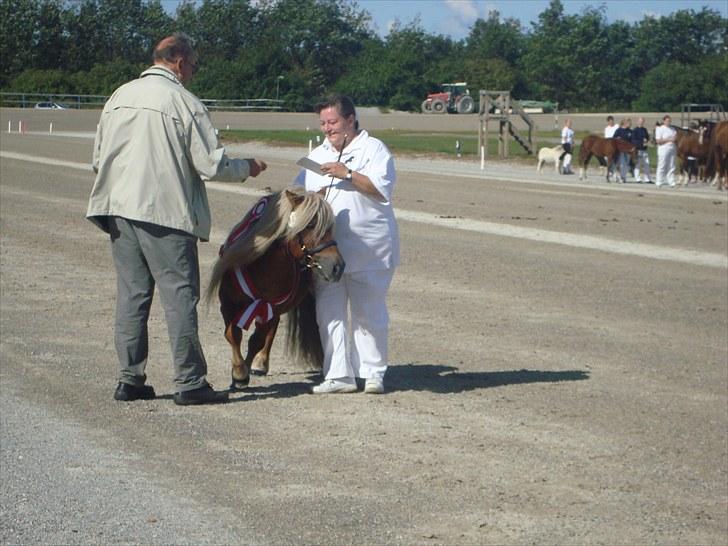 Skive travbane billede 87