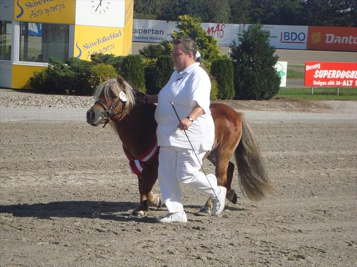 Skive travbane billede 89