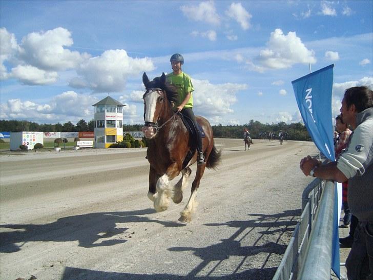 Skive travbane billede 93