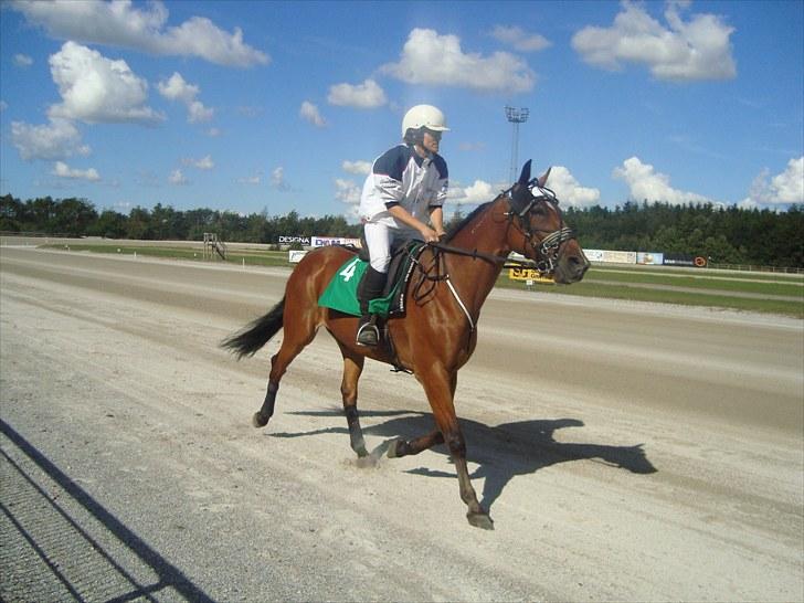 Skive travbane billede 94