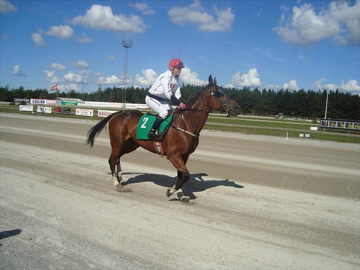 Skive travbane billede 95