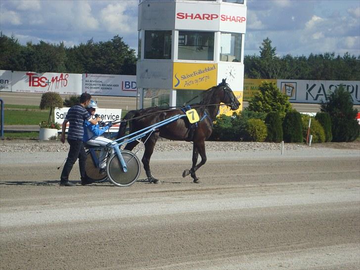 Skive travbane billede 97