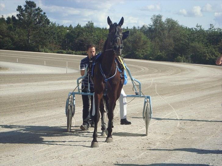 Skive travbane billede 99