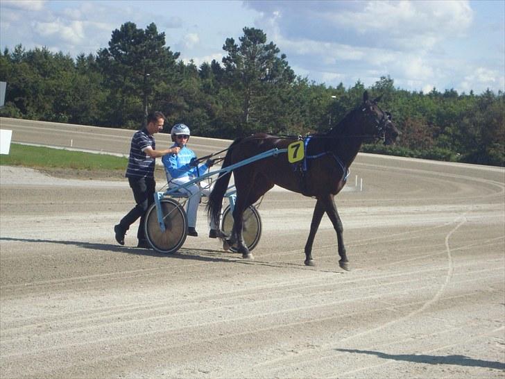 Skive travbane billede 100