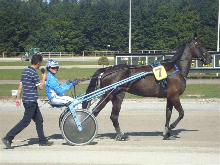 Skive travbane billede 101