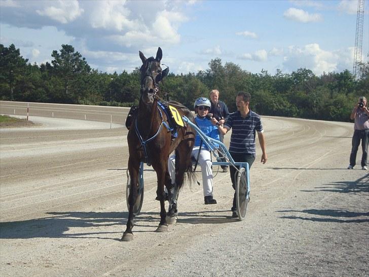 Skive travbane billede 103