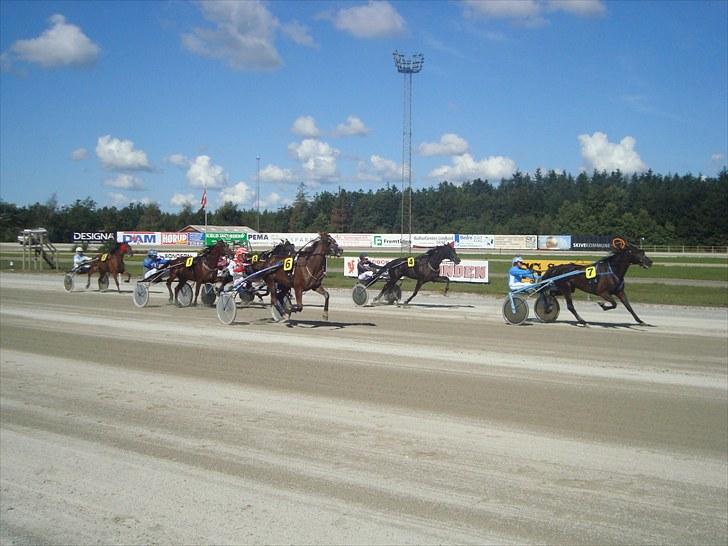 Skive travbane billede 104