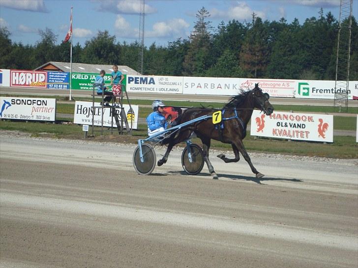 Skive travbane billede 108