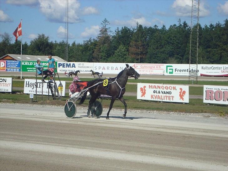 Skive travbane billede 112