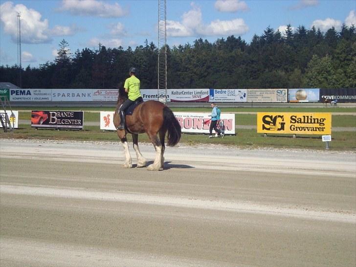 Skive travbane billede 116