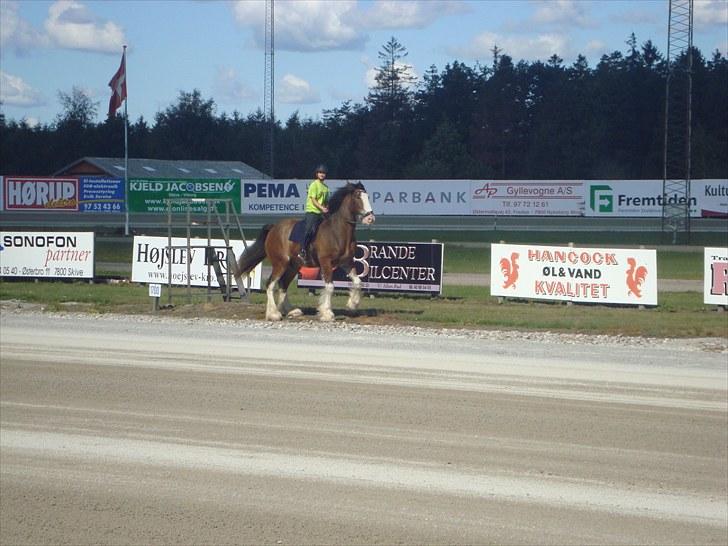 Skive travbane billede 117