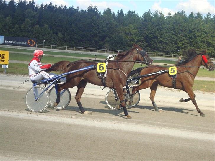 Skive travbane billede 118