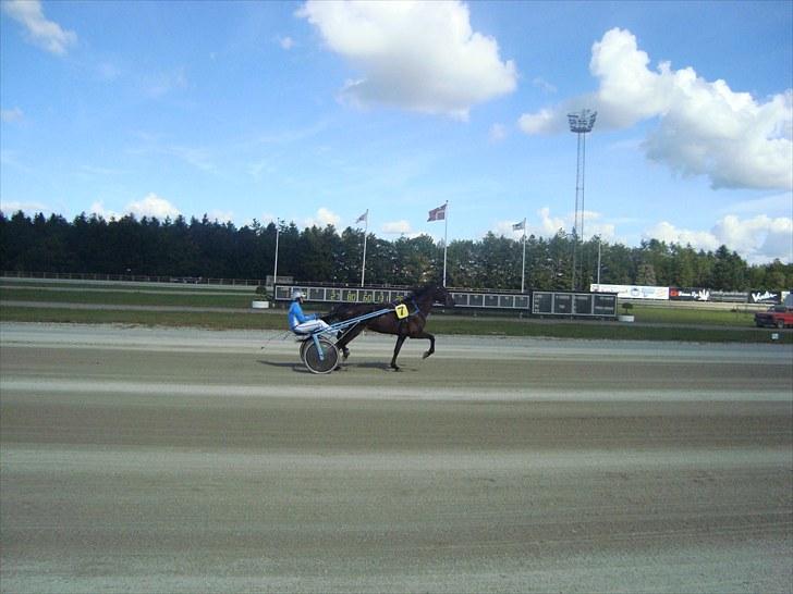 Skive travbane billede 119