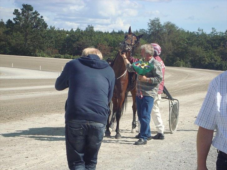 Skive travbane billede 120