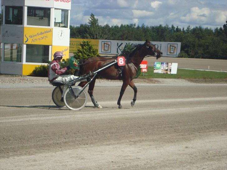 Skive travbane billede 121