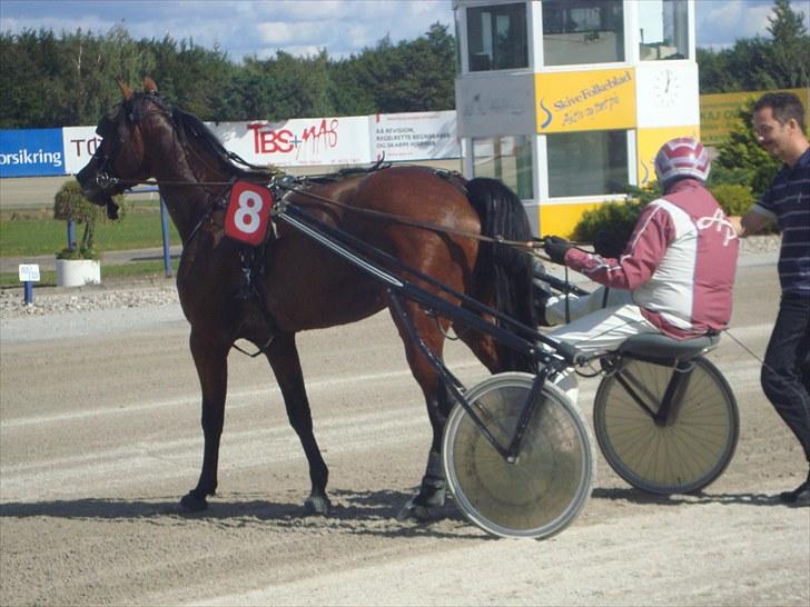 Skive travbane billede 122