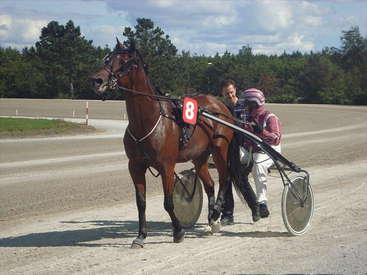 Skive travbane billede 123