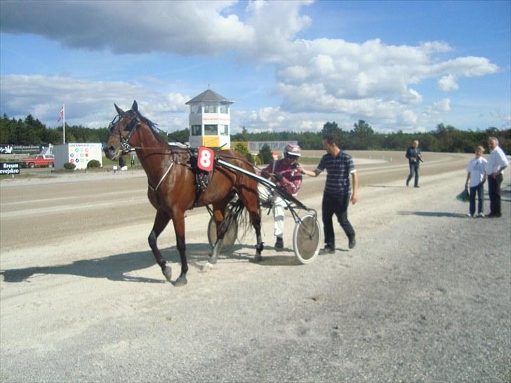 Skive travbane billede 126