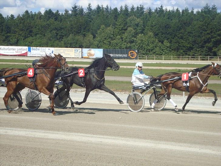 Skive travbane billede 127