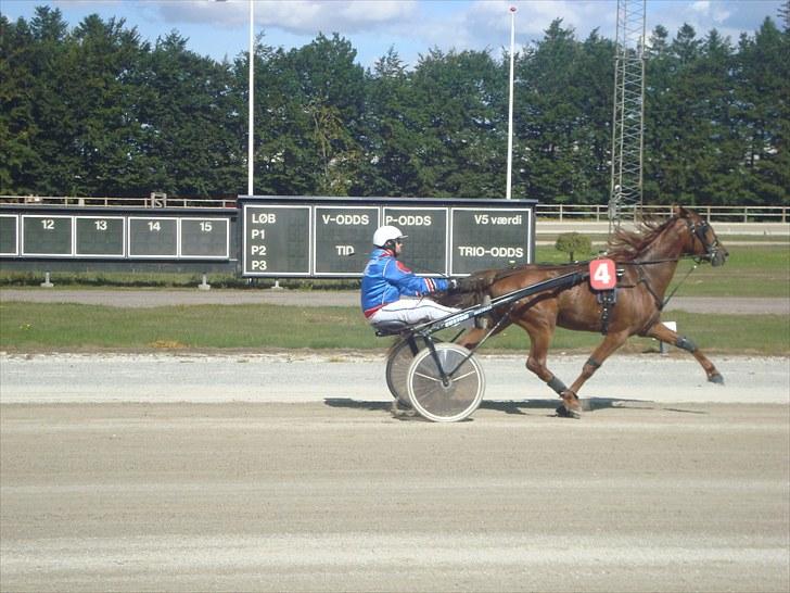 Skive travbane billede 129