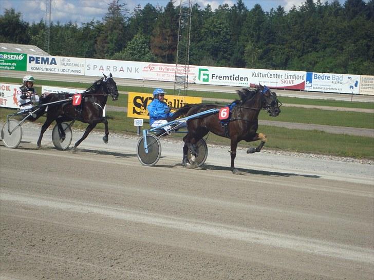 Skive travbane billede 132