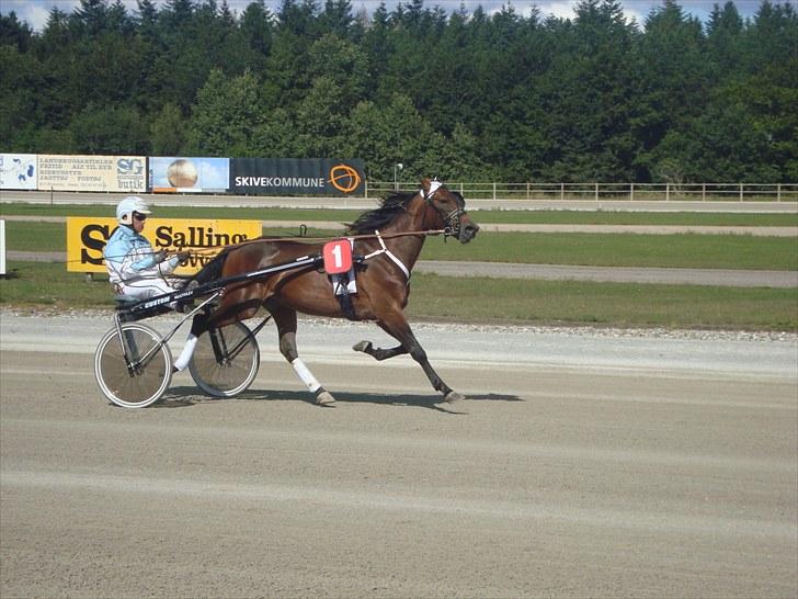 Skive travbane billede 135