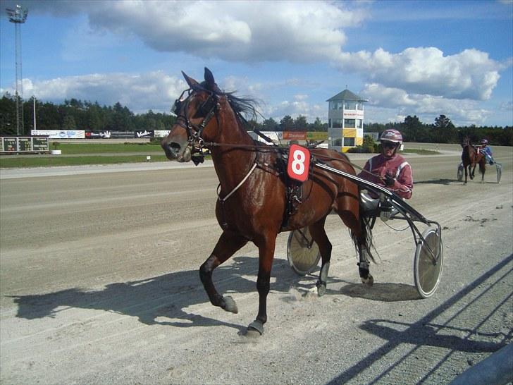 Skive travbane billede 137