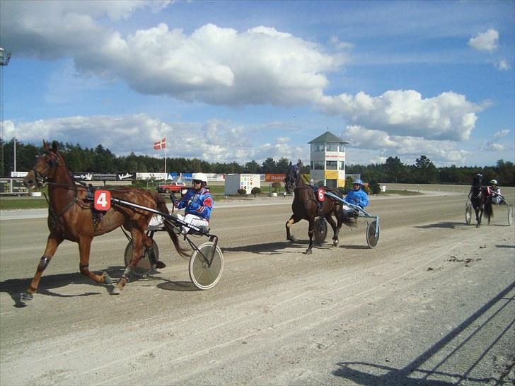 Skive travbane billede 138