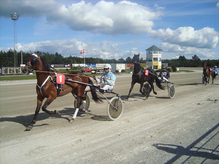 Skive travbane billede 139