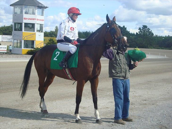 Skive travbane billede 143