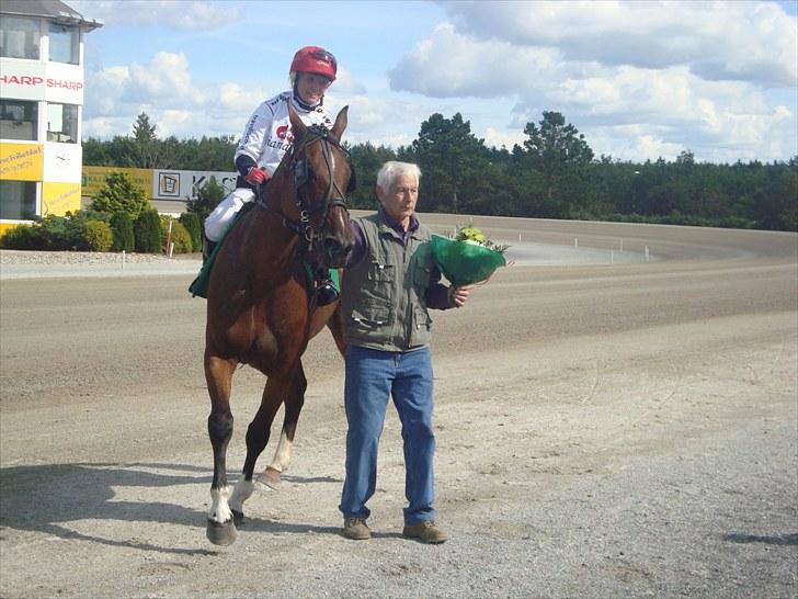 Skive travbane billede 144