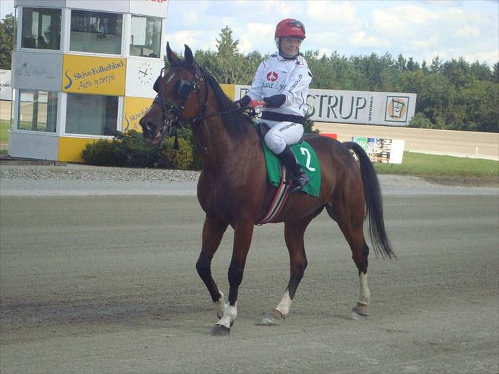 Skive travbane billede 145