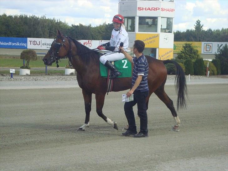 Skive travbane billede 148