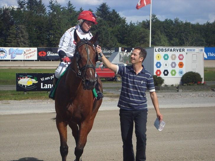 Skive travbane billede 149