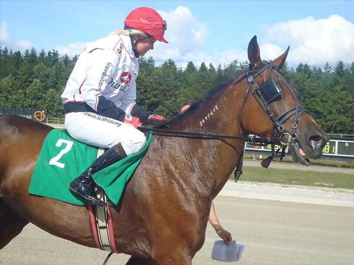 Skive travbane billede 151