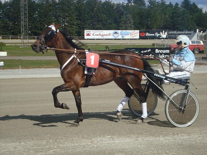 Skive travbane billede 152