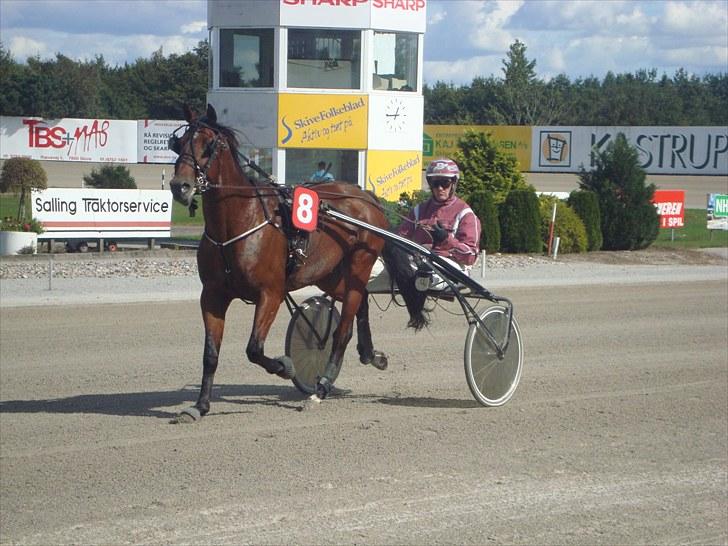 Skive travbane billede 153